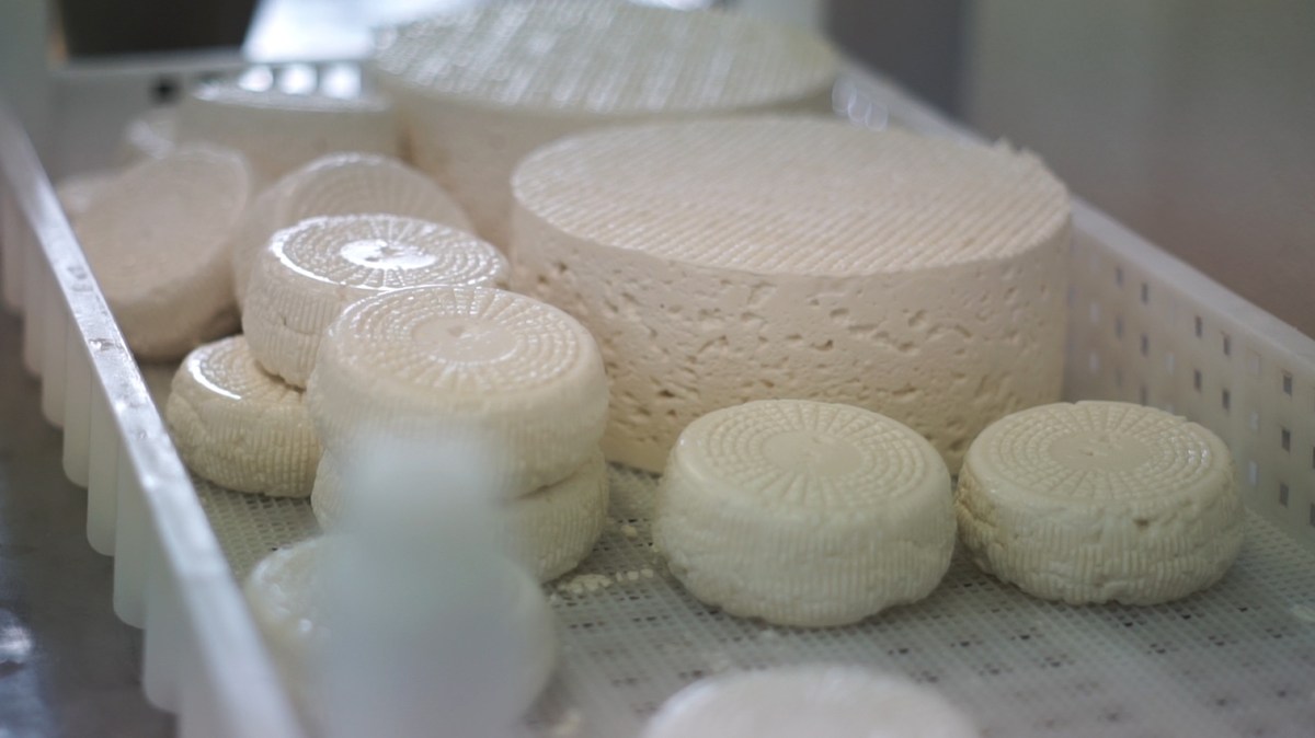 Masterprogram Farm to fork / The Agroforestry&nbsp;Chains