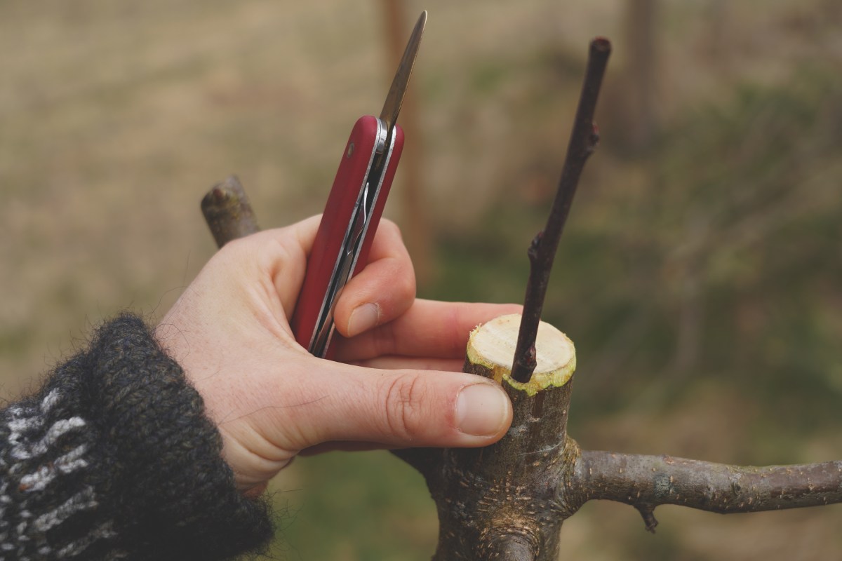 Utbildningar med sista ansökningsdatum 15&nbsp;maj!