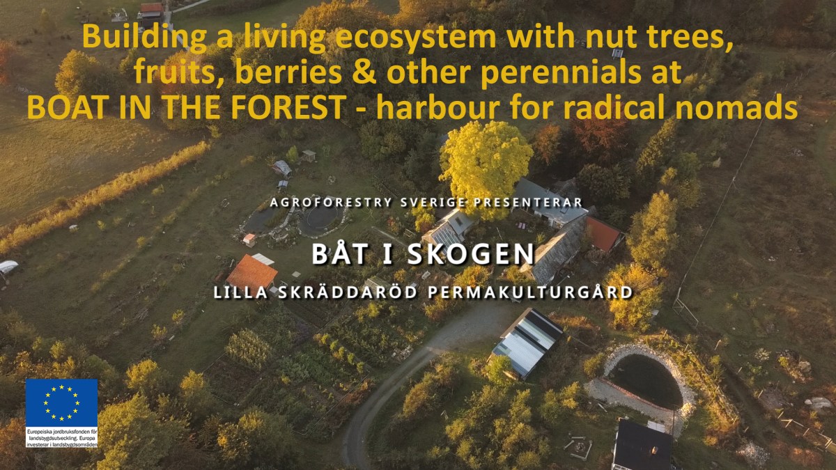 Film: Ett levande ekosystem med samplantering av nötter, frukt, bär perenna & ettåriga&nbsp;grönsaker