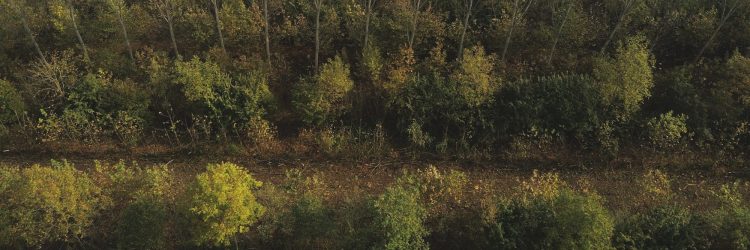 Årsmöte och föreläsning av Christina Schaffer den 8&nbsp;mars