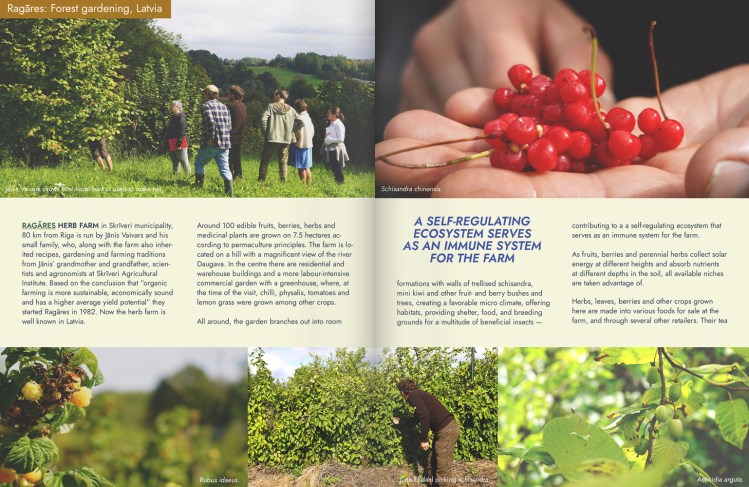 Livsmedelstrygghet, motståndskraft och biologisk mångfald – en projektredovisning